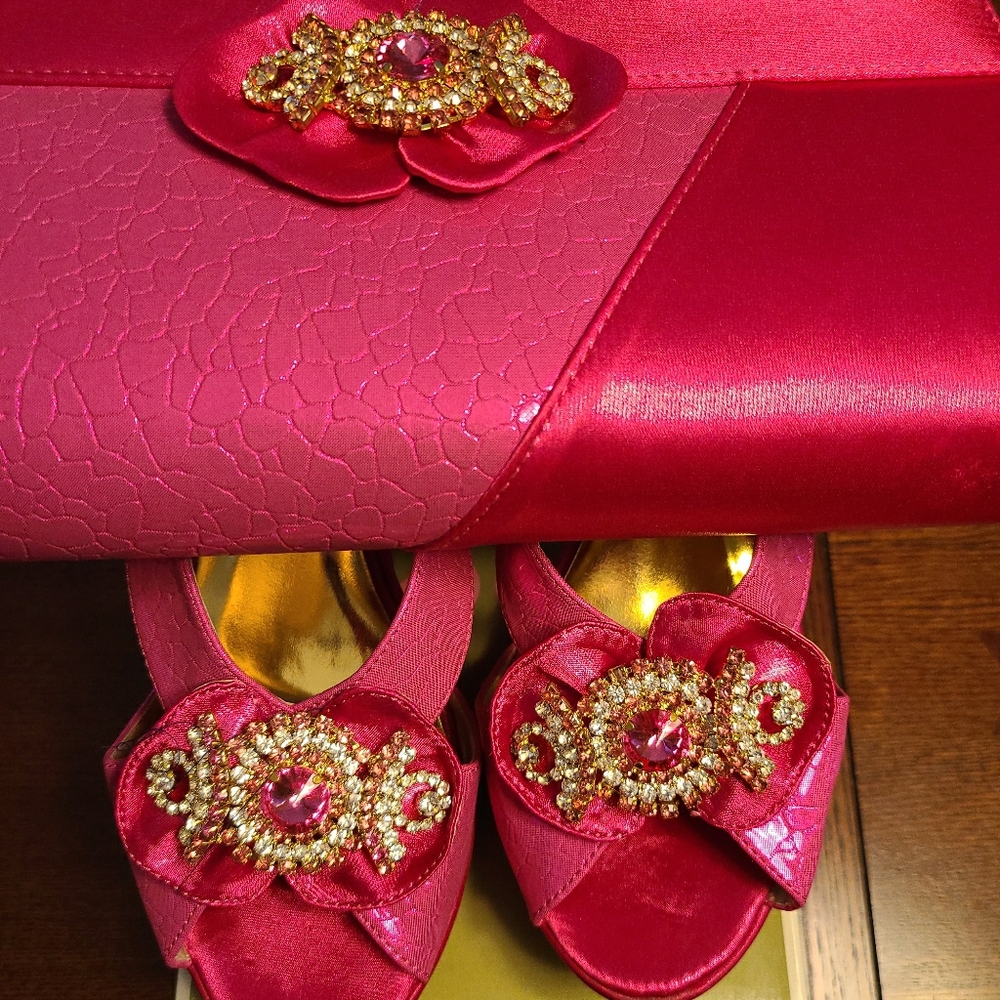 Bellisima shoe and matching bag set